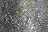 Headbourne Worthy fibreglass roof work